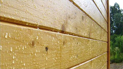 Мы понимаем важность обработки дома антисептиком.